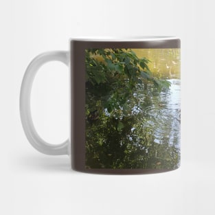 Paris Parc de Bercy Ducks Mug